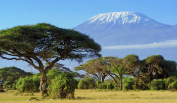 Safari-img-02